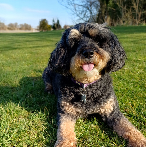 Sasha - Office Manager